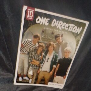 One Direction Behind the Scenes ID 100%  official book